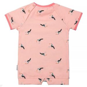 Kiezeltje Mini dress peach bird KM5566