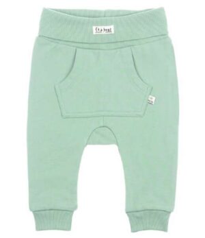 Feetje baby broekje Dino mint 522.01561