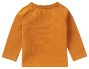 Noppies baby longsleeve Eliot Inca gold