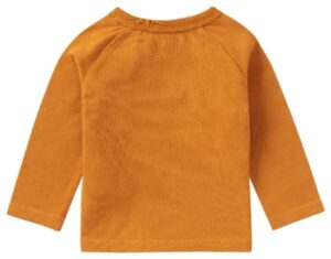 Noppies baby longsleeve Eliot Inca gold