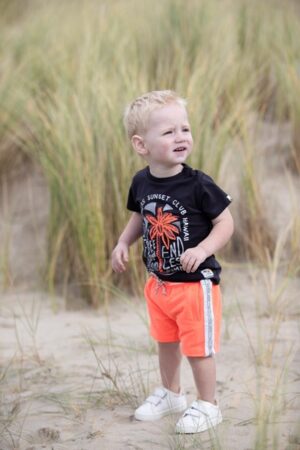 Feetje baby t-shirt 51700640 grijs print - Afbeelding 2