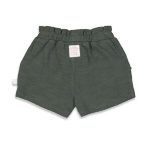 Feetje meisjes short 52100284 grijs