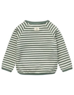 Noppies unisex longsleeve stripe groen